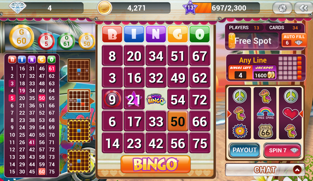 Bingo Online-Prezentare generală